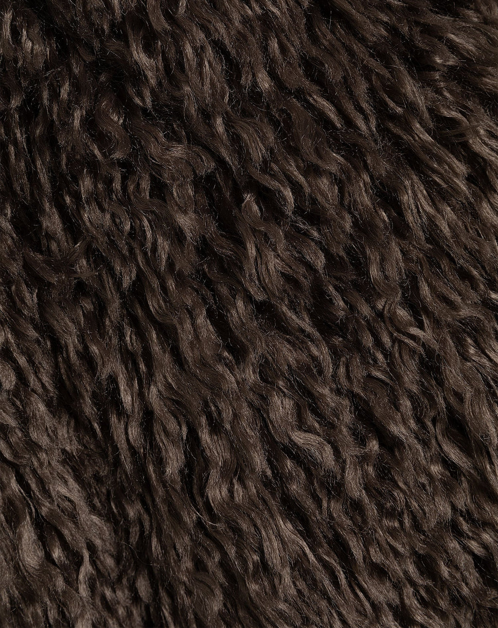 HAIRY COAT BRUIN