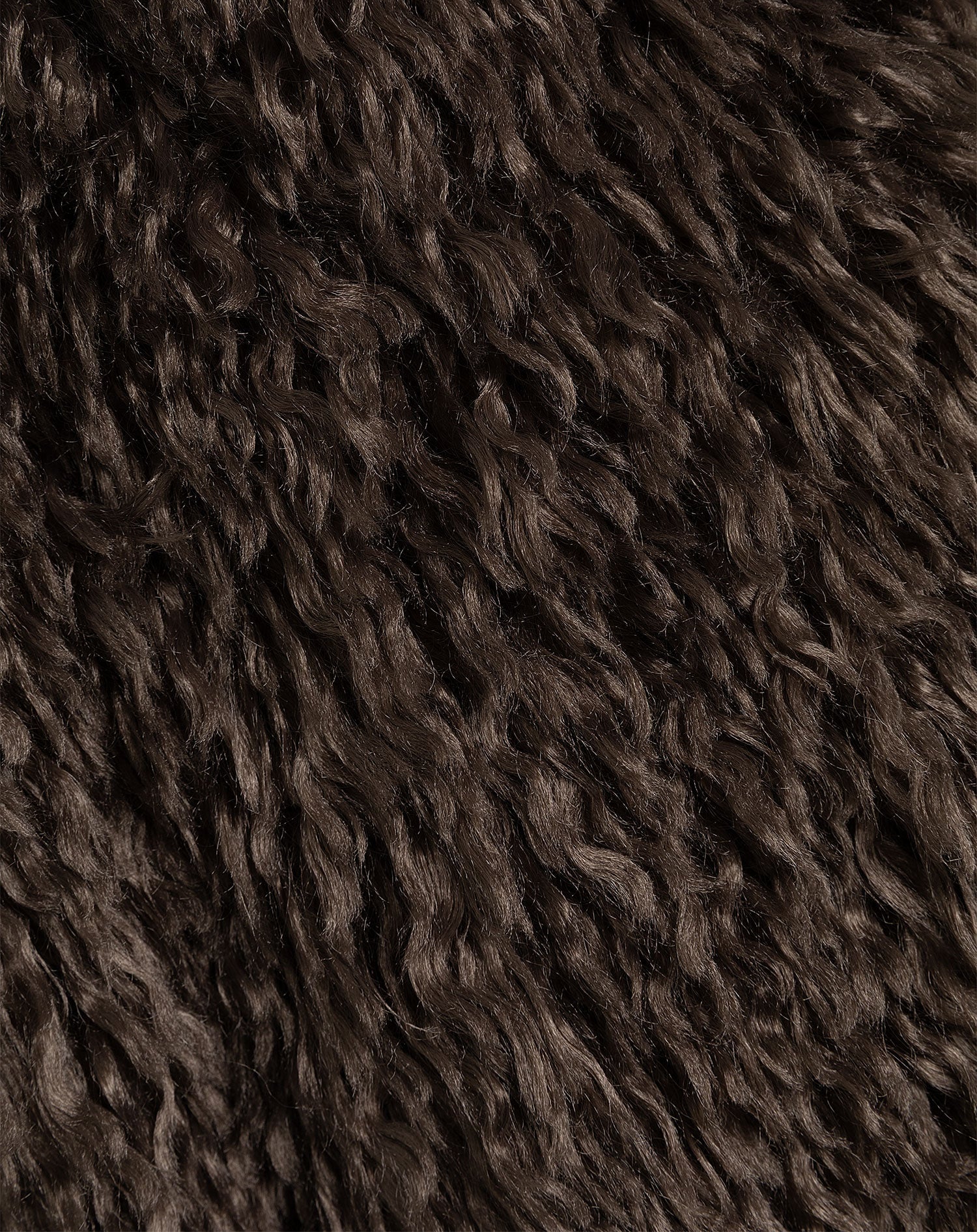 HAIRY COAT BRUIN
